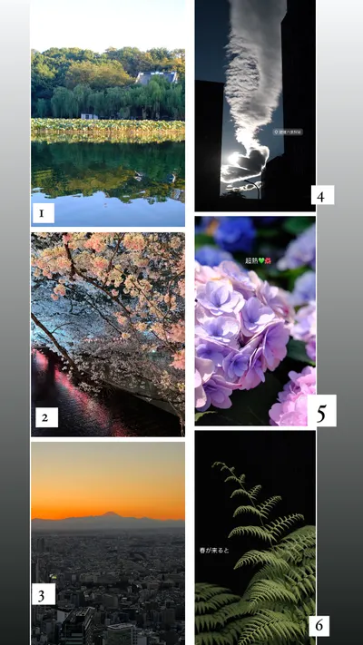 2025 年攝影悠遊卡 （請選出最喜歡的照片）