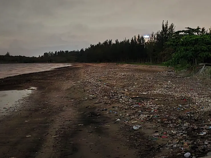 出處:FB網友木皆洋分享