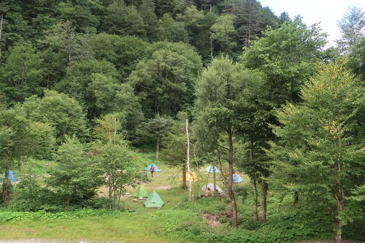 既有設施可以用，又完全在林間，很有野味的野營場，感覺真好