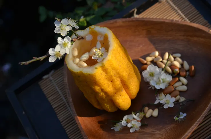 模仿《山家清供》的香櫞杯,把佛手挖空做成杯具,仿作乾隆的三清茶。 用這款佛手杯來沖泡梅花與松子,既有佛手的香氣,又可避掉佛手表皮的苦味。重點是就地取材,饒富情趣。