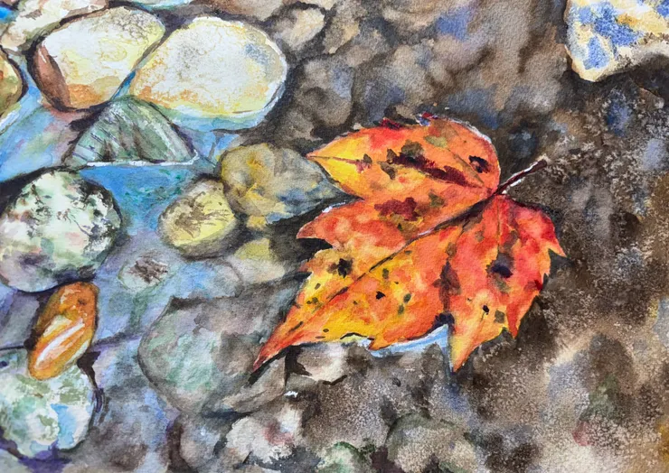 落水枯葉 作者繪於2024秋