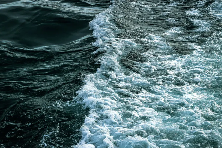 攝影師：Hamza Razuk