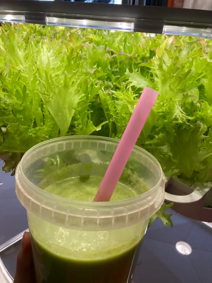 綠拿鐵～幸運樹水耕