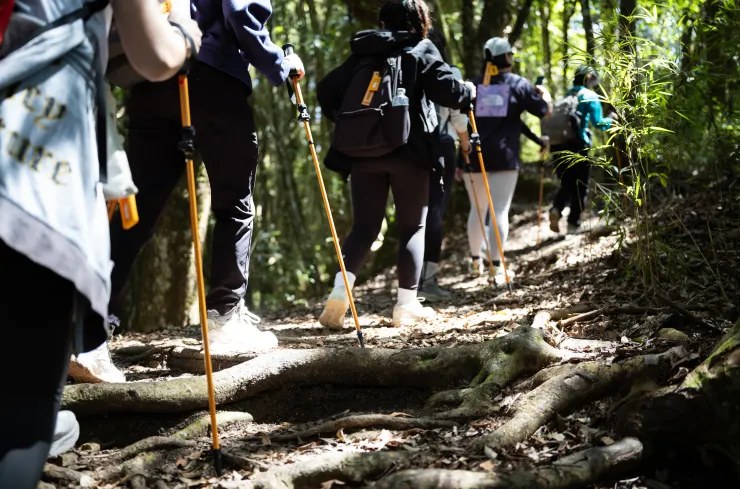 美麗的光影一路相隨