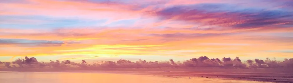 想當人魚的人類的沙龍