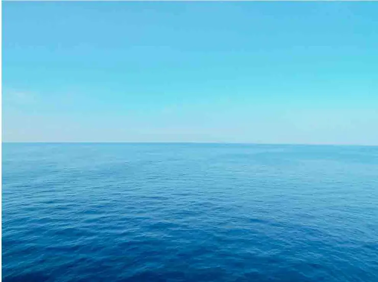 照片由Unsplash上​​的Sarah Brown拍攝