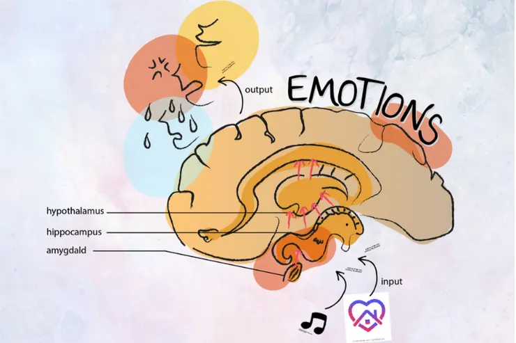 圖片來源：吳畇芸
