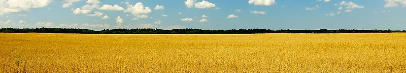 人間田野觀察家的沙龍