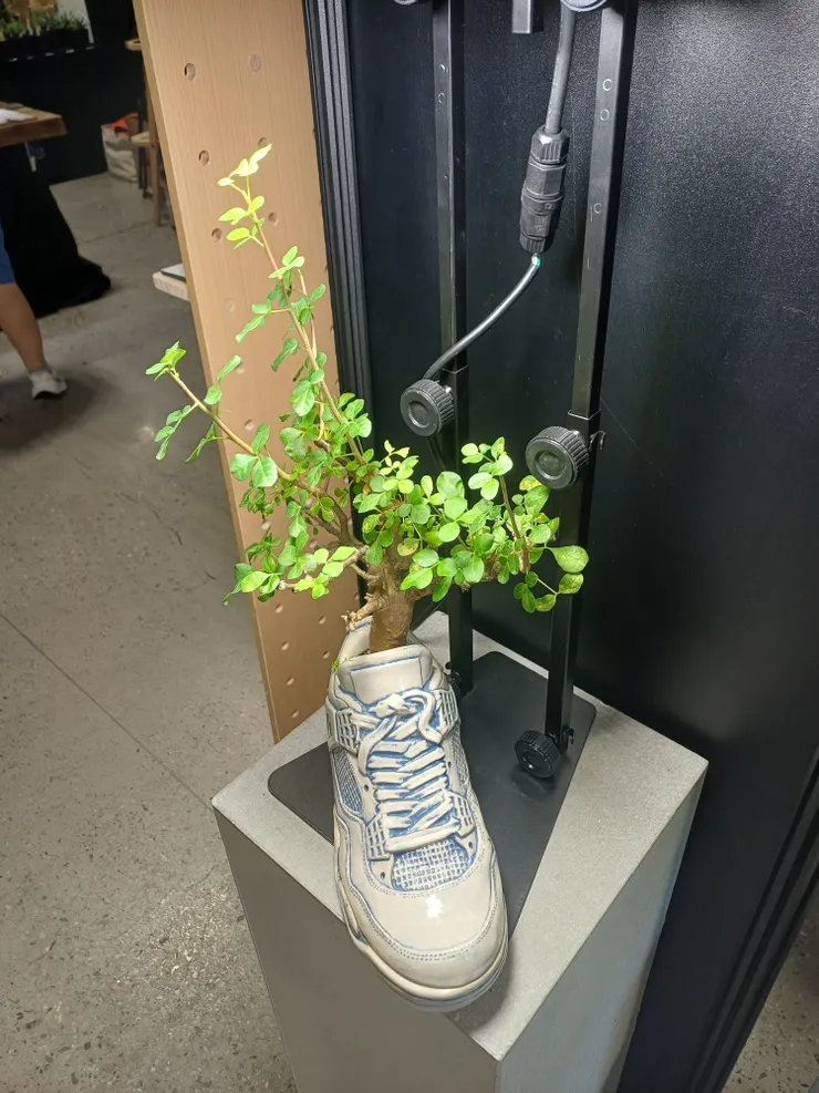 甫進入會場，第一眼注意到的一隅