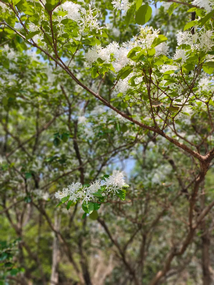 春花秋月，夏風冬雪，都是人間好時節。