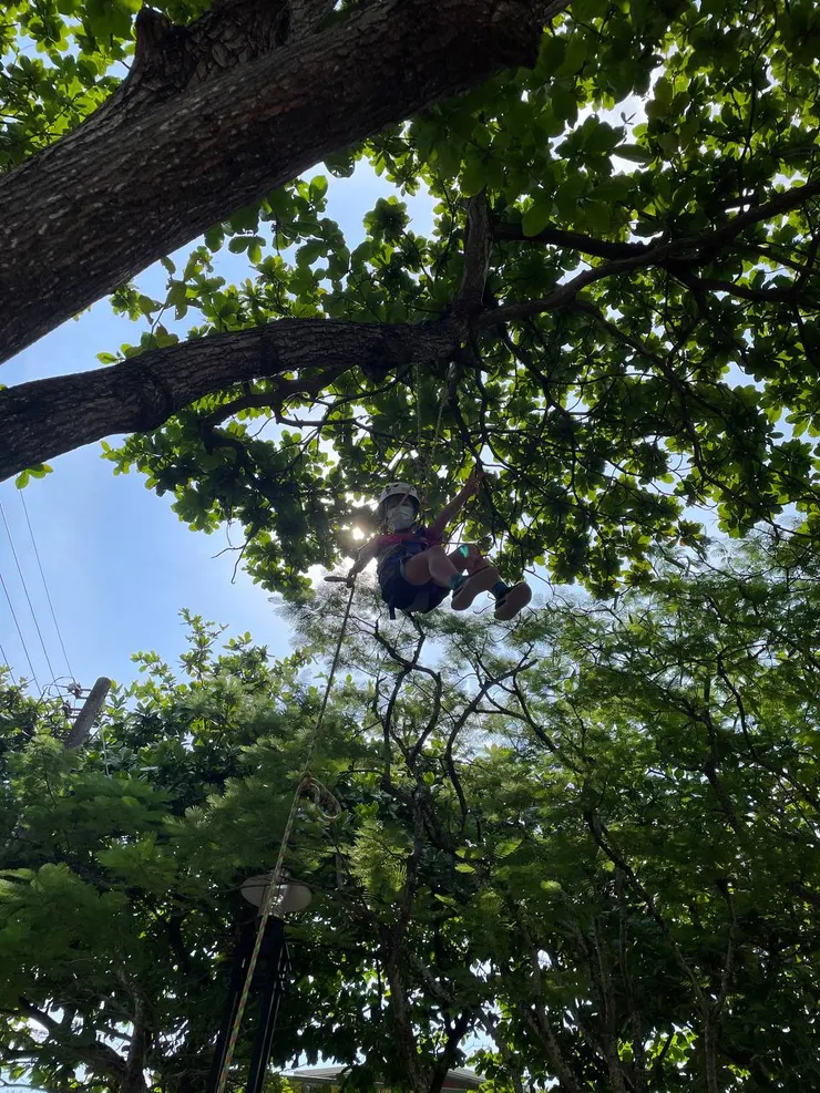 攀上樹梢俯瞰的快樂是樸實無華的，而且超級有成就感，真的是非常棒的活動