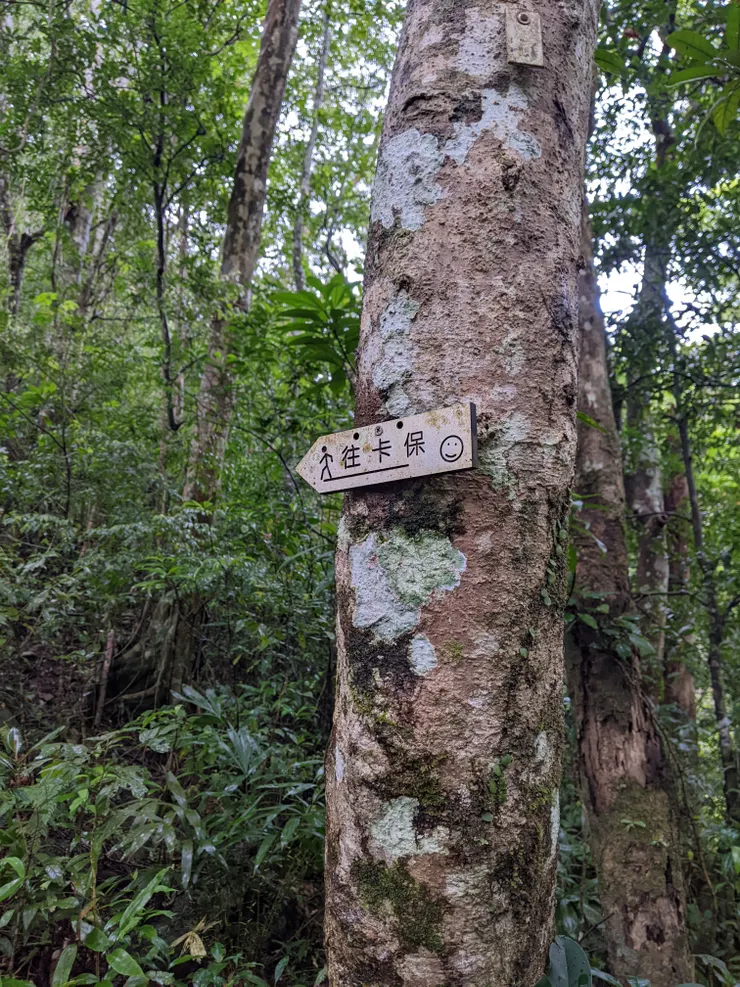 可愛的路標指引，但真的是笑不出來欸