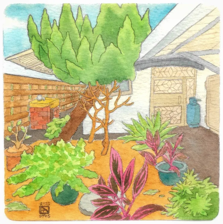 山上的套房外觀