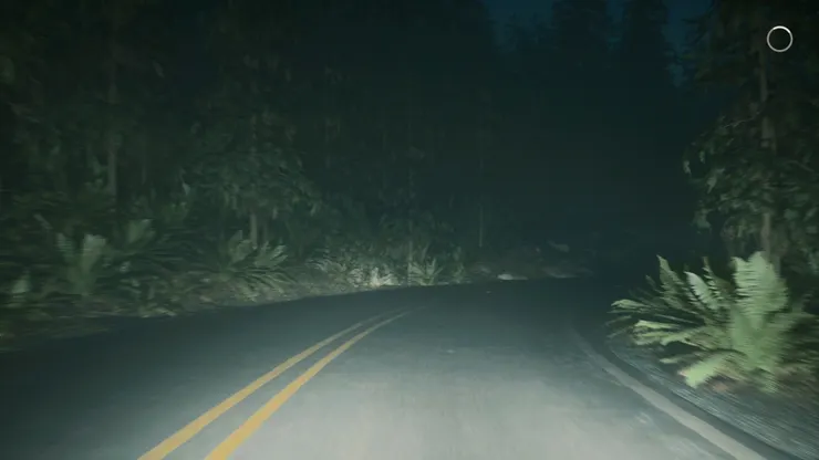 Dull Driving Cutscenes