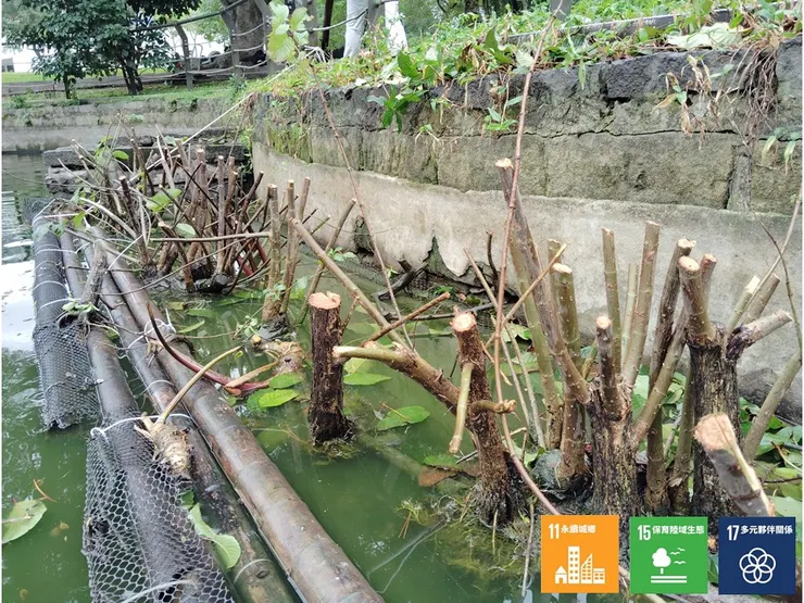 修截植條,調整島體重心