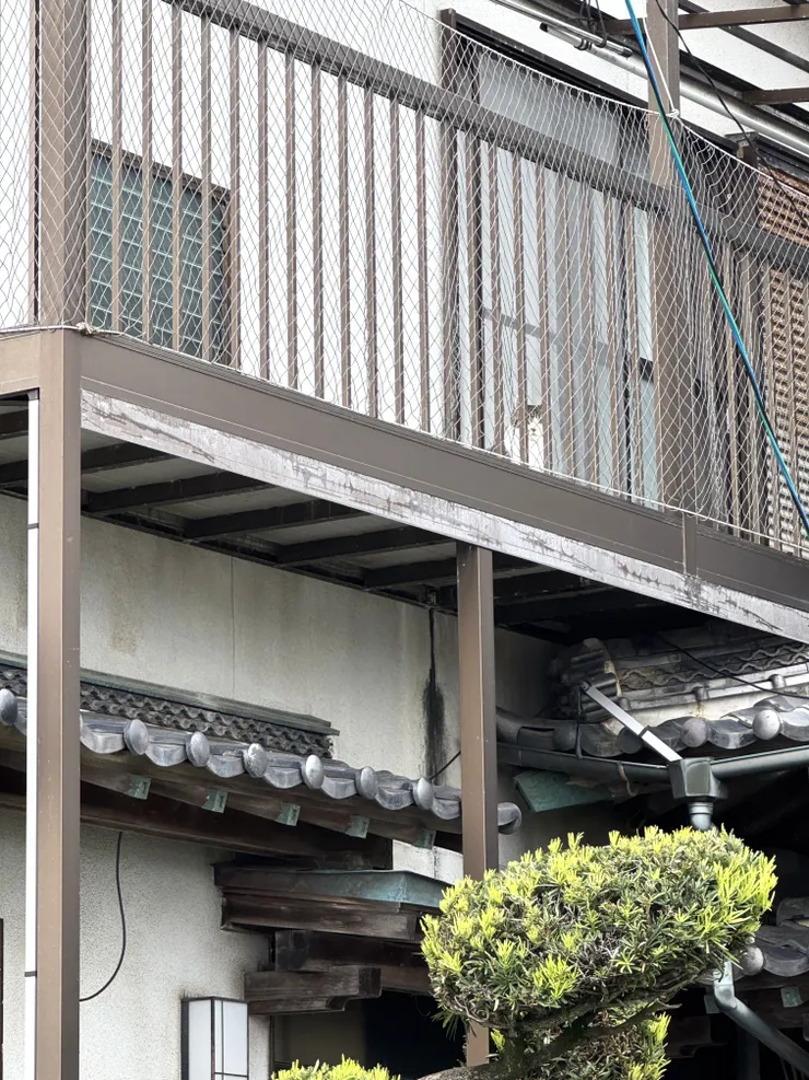 路邊人家的貓貓