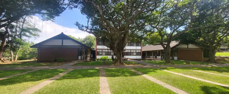 東海大學()李建崑攝影)