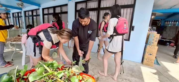 布袋蓮結合教學與環保概念
