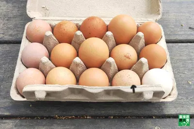 吃什麼食物會讓男女更易獲得高潮4個讓男女更易高潮的小妙招