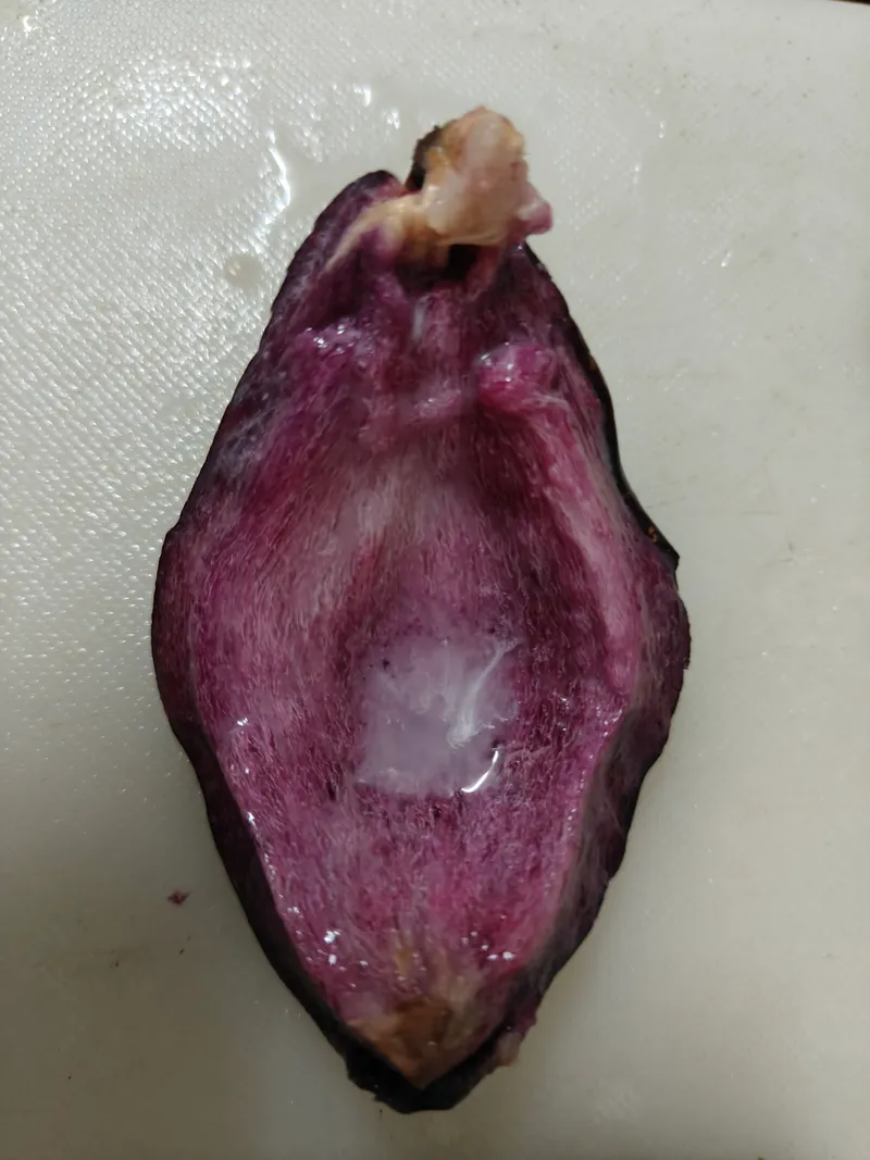 src