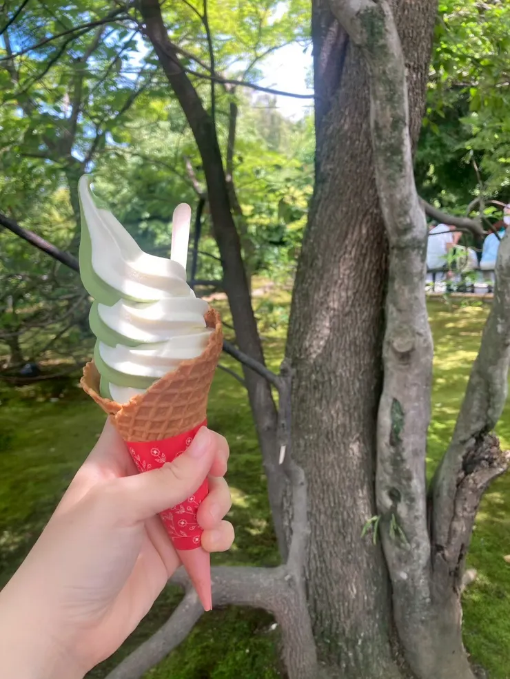 消暑的霜淇淋~