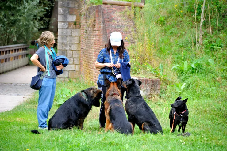 【在城塞又和狗友相逢，怡青隨身攜帶狗食，狗兒都很聽她的話。】