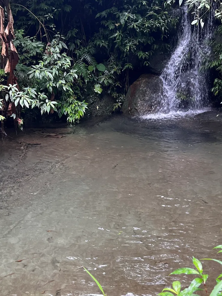水質清澈魚兒悠游其中