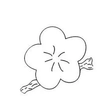 郭伯伯畫的梅花示意圖