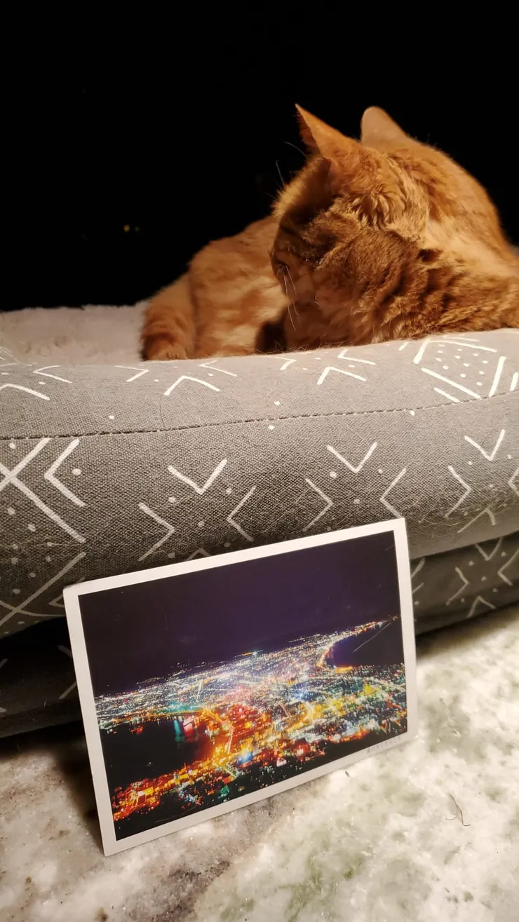 這次去函館2/5 TARA剛好離開這世界一年，我寄了明信片給ZU