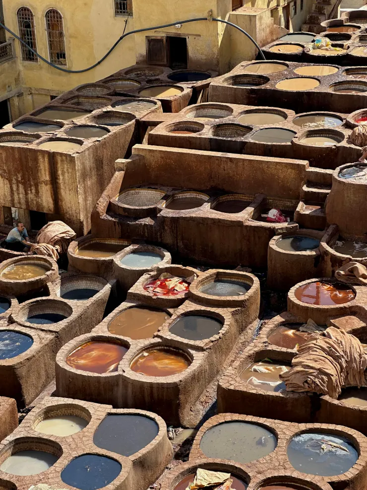 生命經驗就像染缸