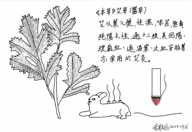 <<本草>>艾葉艾灸