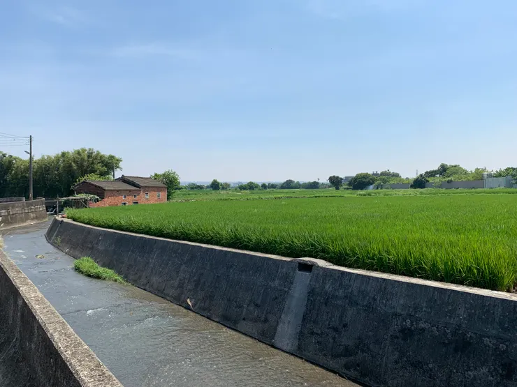 什麼叫「網路馬謖」，這篇文章會告訴你，為什麼會有一堆人被騙?