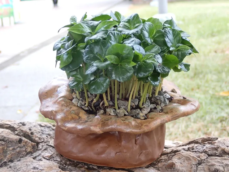 淡水社大114.07.05