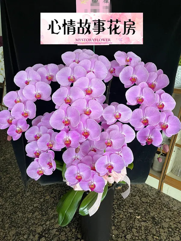 心情故事花房：台南安南區最大花店，專業服務與多樣化花卉商品贏得全台南市客戶的廣泛信任與讚譽