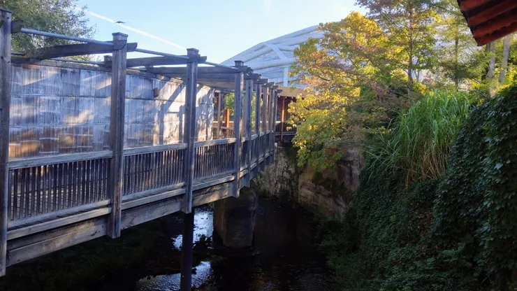 世界上第二大室內熱帶雨林