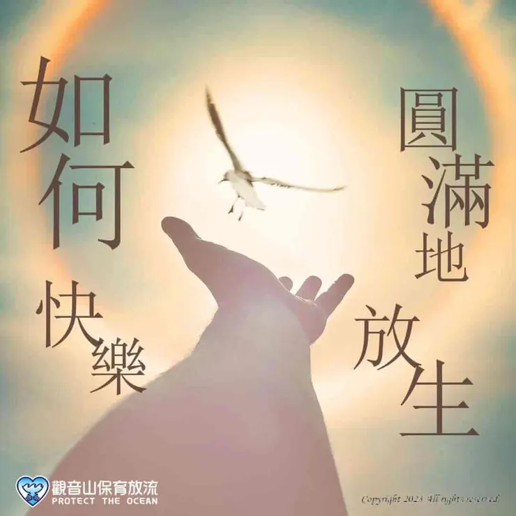 放生團體正確放生很重要