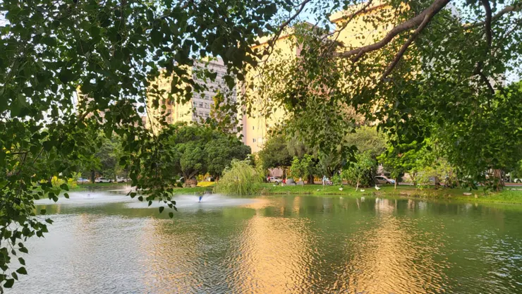 中興湖(李建崑攝影)