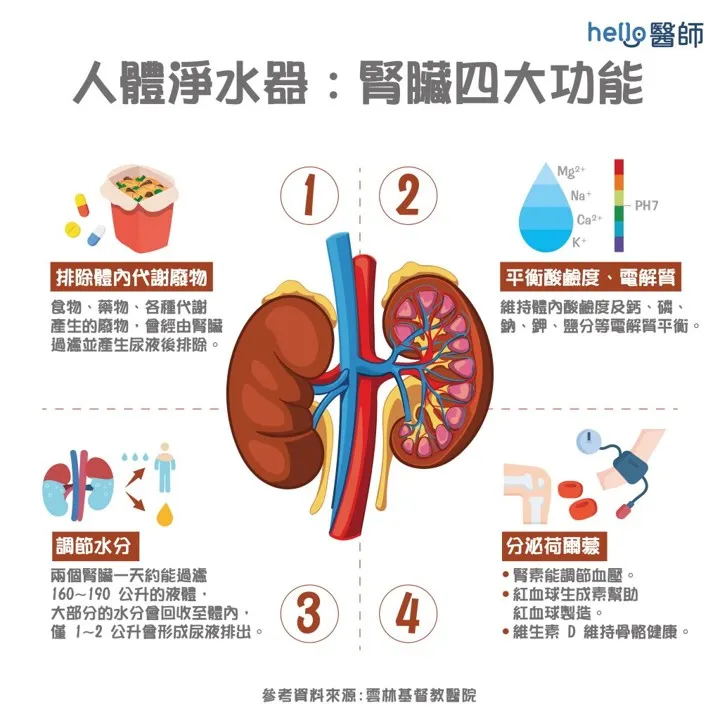 人體淨水器「腎臟」(圖片引自https://reurl.cc/QZVjl9)