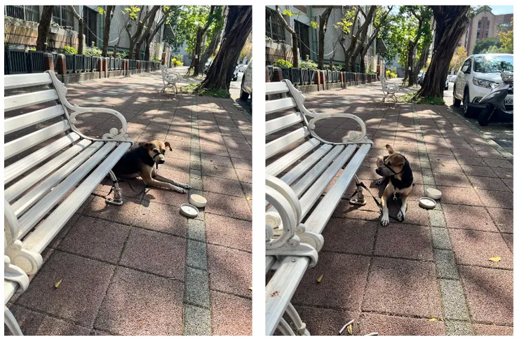 感人的自主趴下