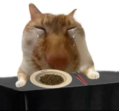 最近我很喜歡聽這翻唱睡覺