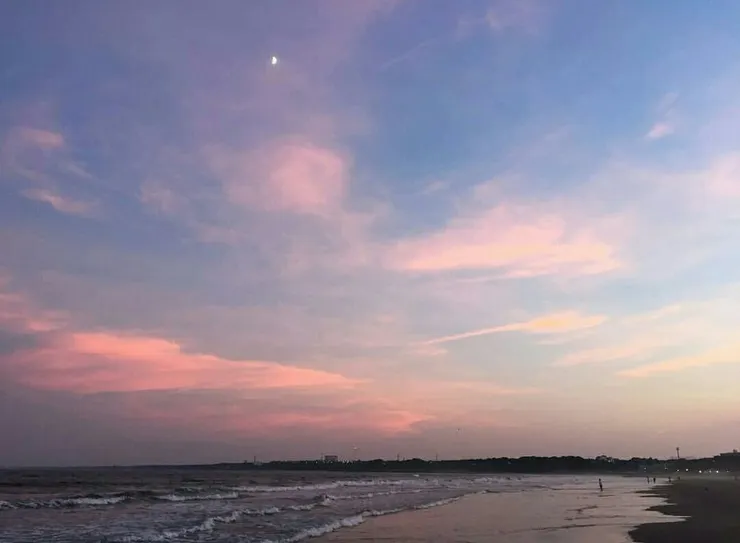 出處：Jalan 觀光導覽　大洗陽光沙灘