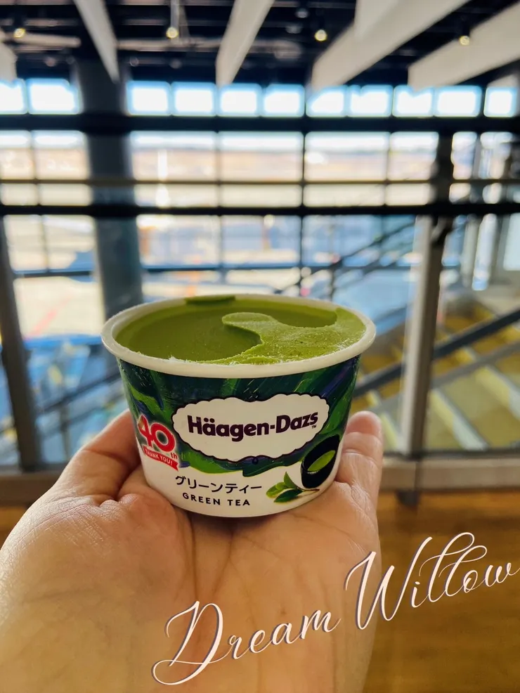 販賣機的冰淇淋