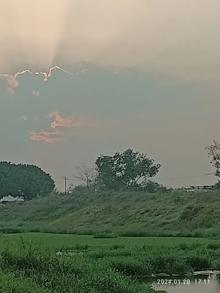 方塘綠滿水芙蓉