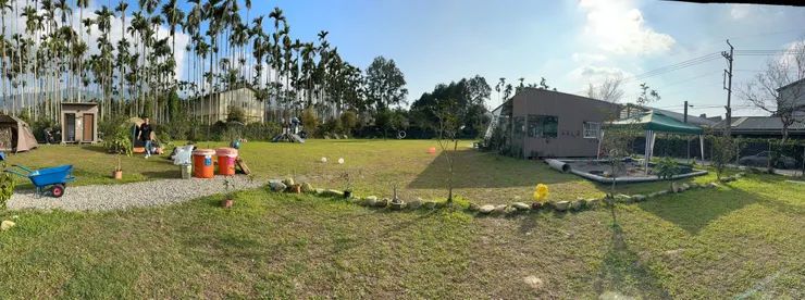 檳榔樹莫名的也美起來~~