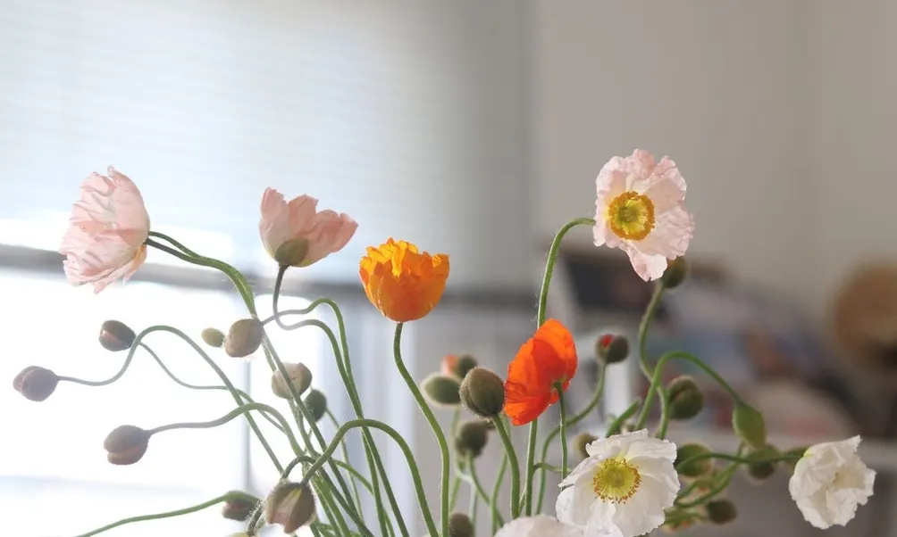 ｜寫給島嶼的信｜