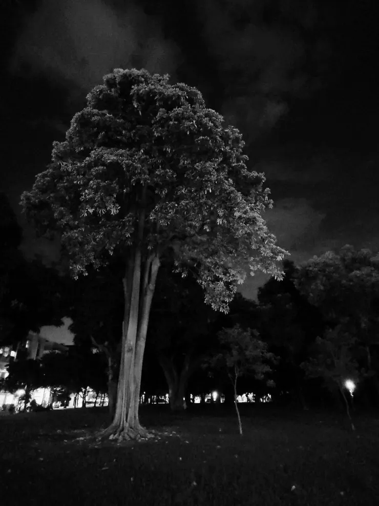 Day 18 黑色童話,需要巫婆裝飾