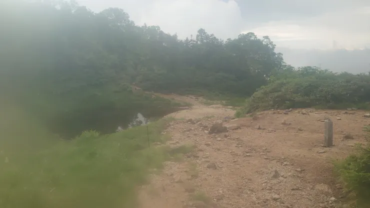 照片長這樣，是手機防水袋裡的溼氣