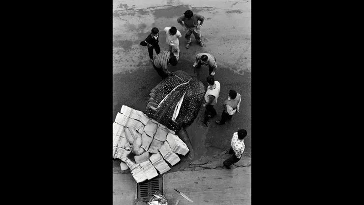 沈昭良《映像南方澳》1995~2000