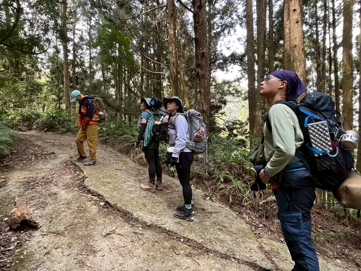 我們在看一處陡升的捷徑