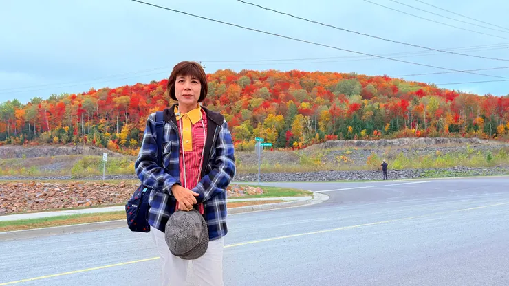 電線無損楓紅的美